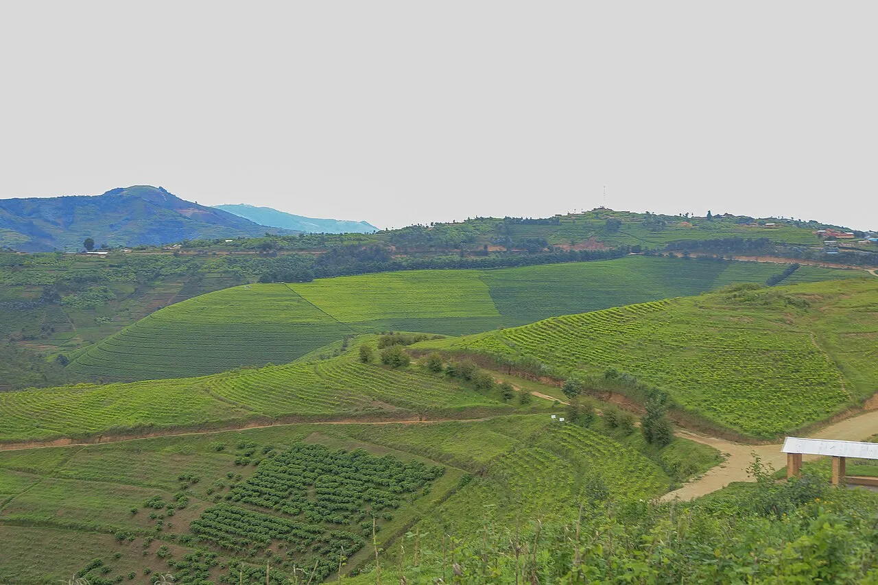 Baisha Crater Tea Tour
