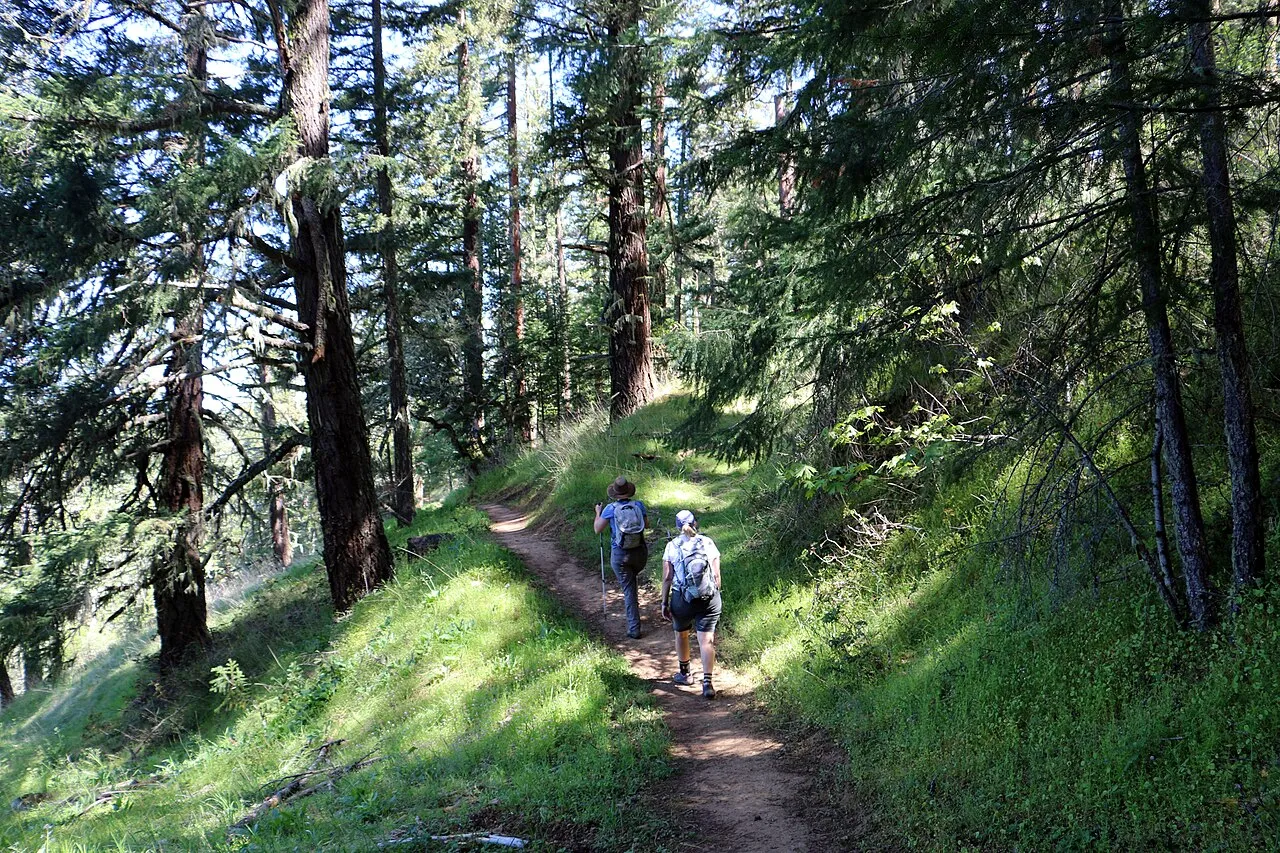 Gaoshan Ridge Hike